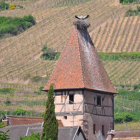 Gite Du Vignoble Амершвир Экстерьер фото