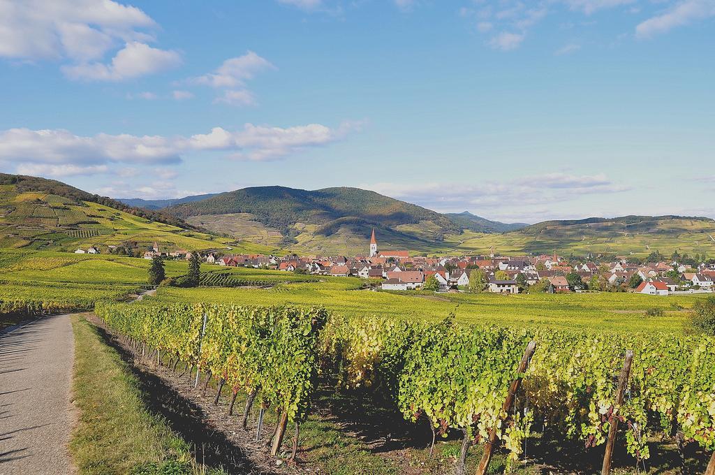 Gite Du Vignoble Амершвир Экстерьер фото
