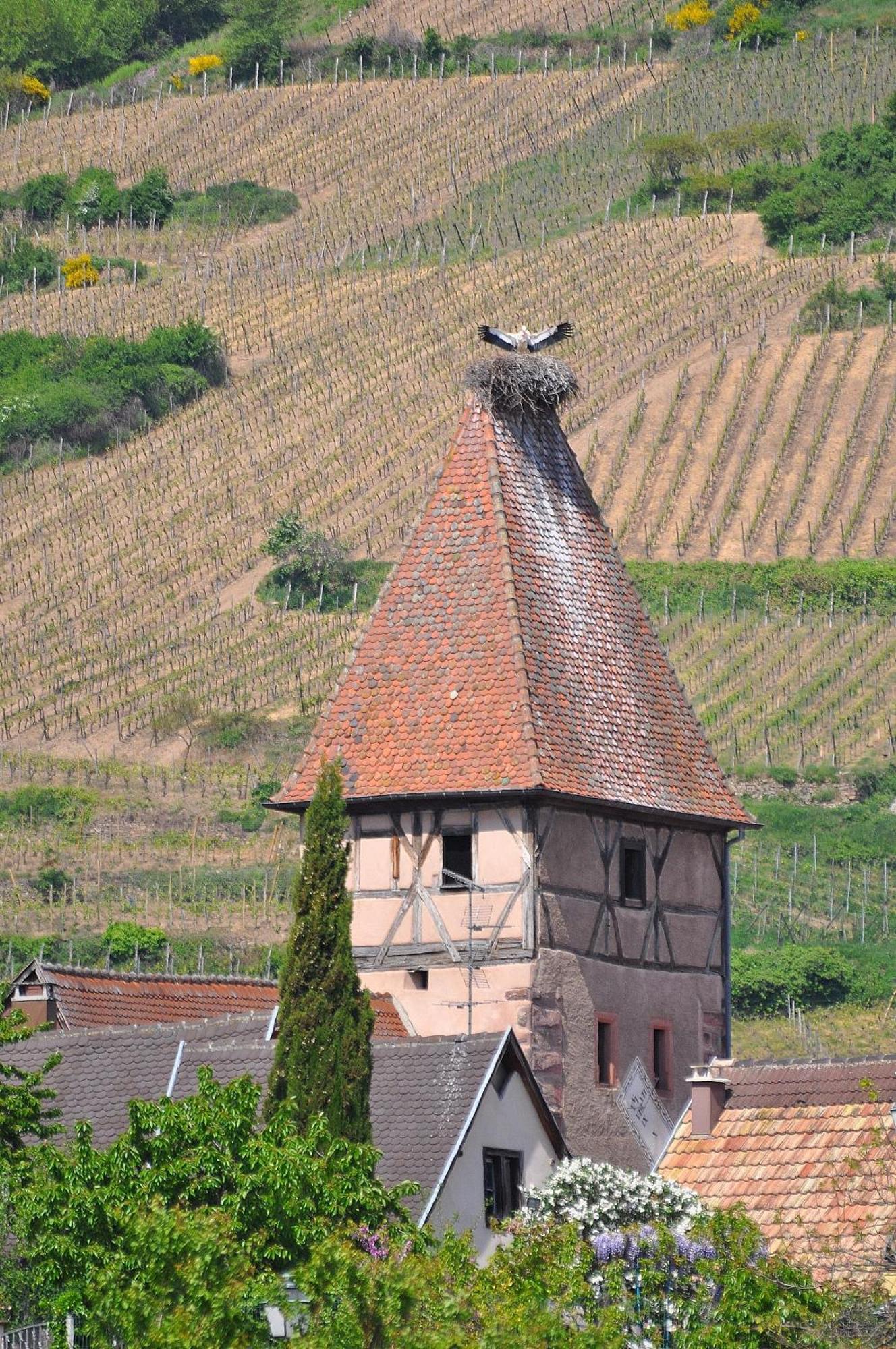Gite Du Vignoble Амершвир Экстерьер фото